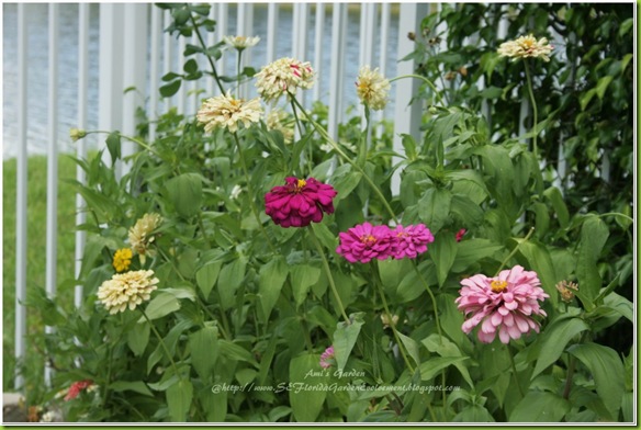 2011-07-30_00074