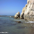 C. RANDISI