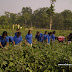 Community Agriculture Assistant Training-1.jpg