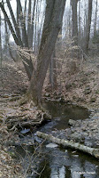 2011-03-05_15-25-18_557.jpg