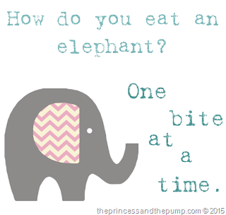 [how_do_you_eat_an_elephant2%255B9%255D.png]