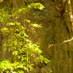 Ojców, Kraków JESIEŃ 2008 051.JPG