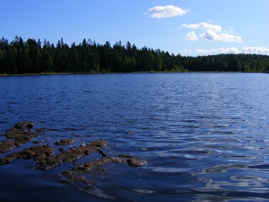 DSCF6431.JPG
