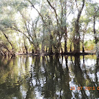 DSCN4557.JPG