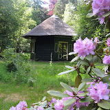  De Koepel