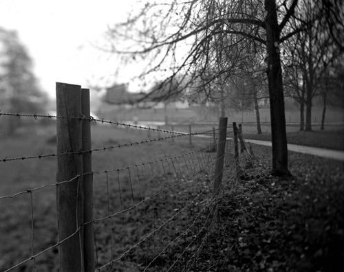 The-Fence-3