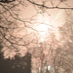 DSC_2465.jpg