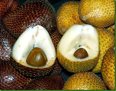 Salak Bali Salak Bali