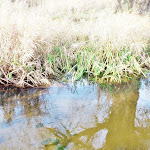 2012_11_25_Niedziela_z_ciekawostka_25.jpg
