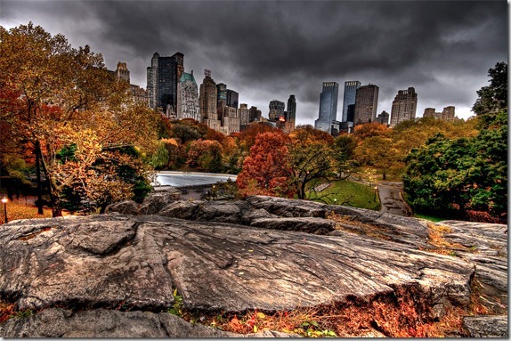 park-photography park-photography