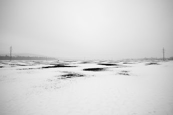 2013-02-25_3.jpg
