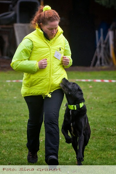 Laufschritt in der Fussarbeit - Mein Engelchen ist einfach ein Traumhund (Foto: Sina Grünert) Der-Laufschritt.jpg