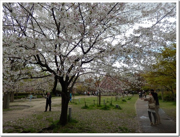 2013OsakaTrip_Day3_17