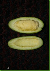PA230771 PA230771