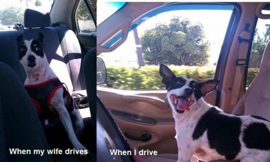 [viral-picdump-pics-49155d%255B2%255D.jpg]