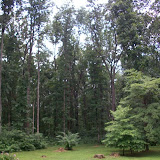 100_0542.JPG