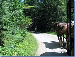 3342 Michigan Mackinac Island - Carriage Tours