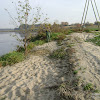 dsc06171.jpg
