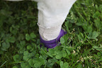 See?  The rubber cover goes just high enough that the freshly wet grass won't disturb my bandage!