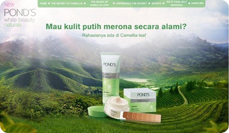 Ponds