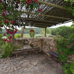 DSC00933.JPG