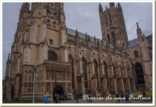 Canterbury-43