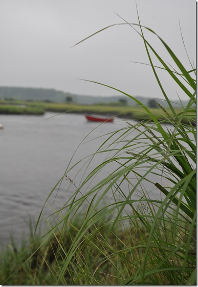 DSC_0308 DSC_0308