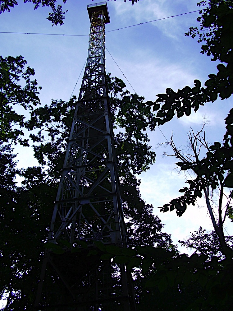 P7240245.JPG