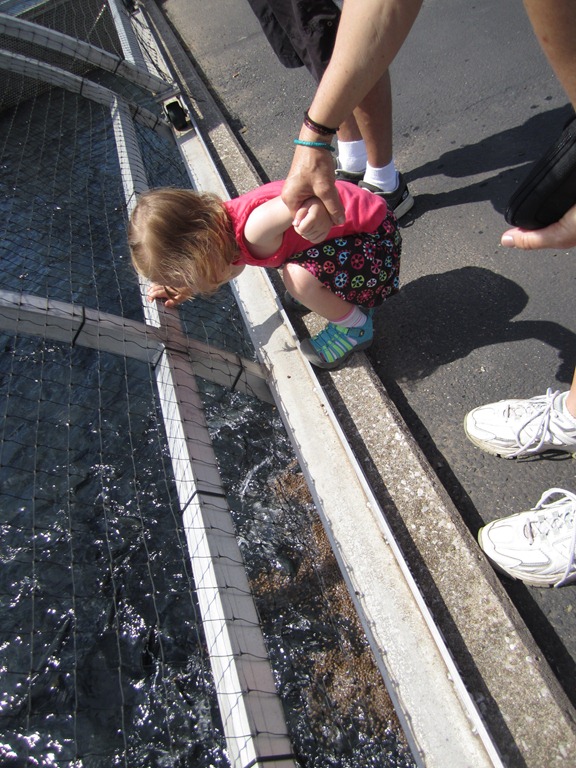 [IMG_3352%255B4%255D.jpg]