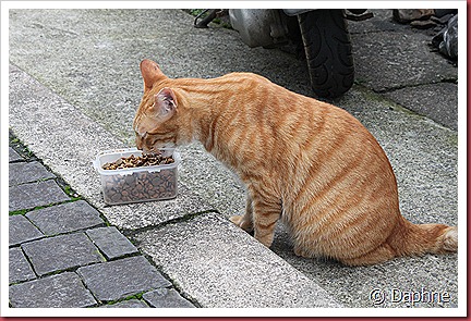 IMG_6124 IMG_6124