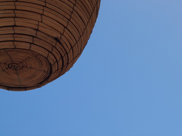 [hanging%2520basket%255B3%255D.jpg]