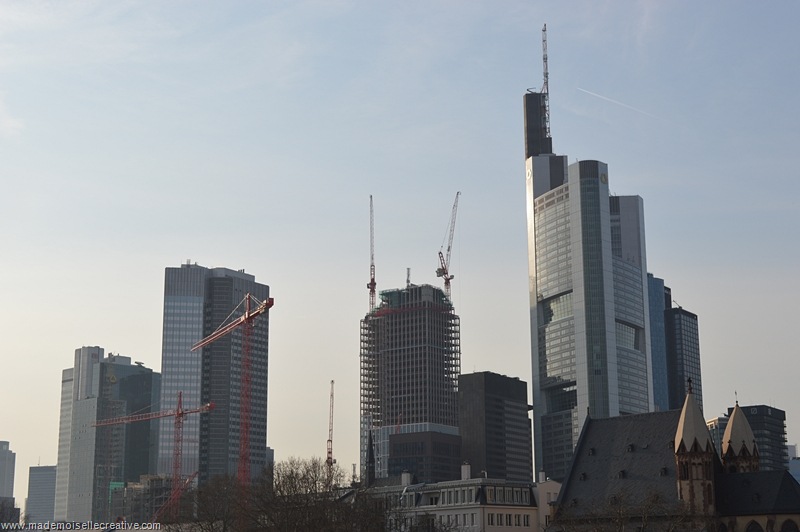 DSC_0330 DSC_0330