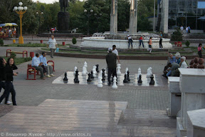 Шахматисты
