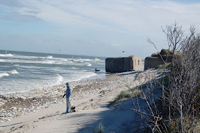 DSC_0497.JPG