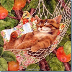 kittens_wallpapers__32 kittens_wallpapers__32