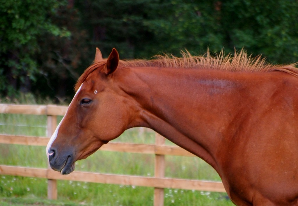 [16%2520July%25208%255B3%255D.jpg]