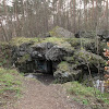 dsc04919.jpg
