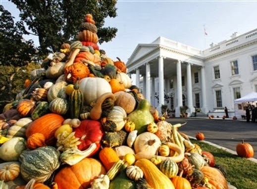 [SQUASH-FROM-THE-ORGANIC-GARDEN4.jpg]