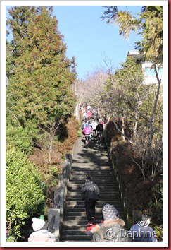 IMG_4822 IMG_4822