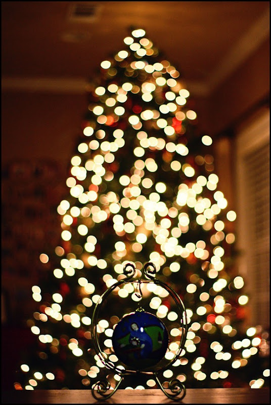 Christmas Tree 2011 (13)