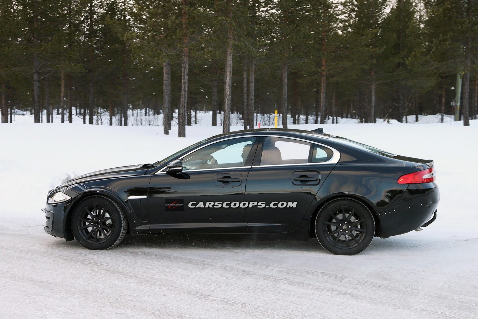 [Jaguar-XS-Mule-5%255B3%255D.jpg]