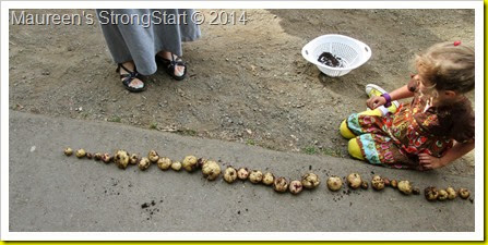 IMG_4526 IMG_4526