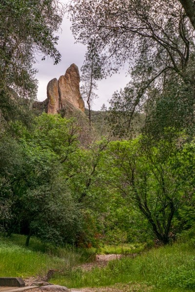 [20150313-DSC00363%255B4%255D.jpg]