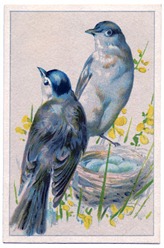Birds-BlueEggs-vintageimage-Graphics-Fairy Birds-BlueEggs-vintageimage-Graphics-Fairy