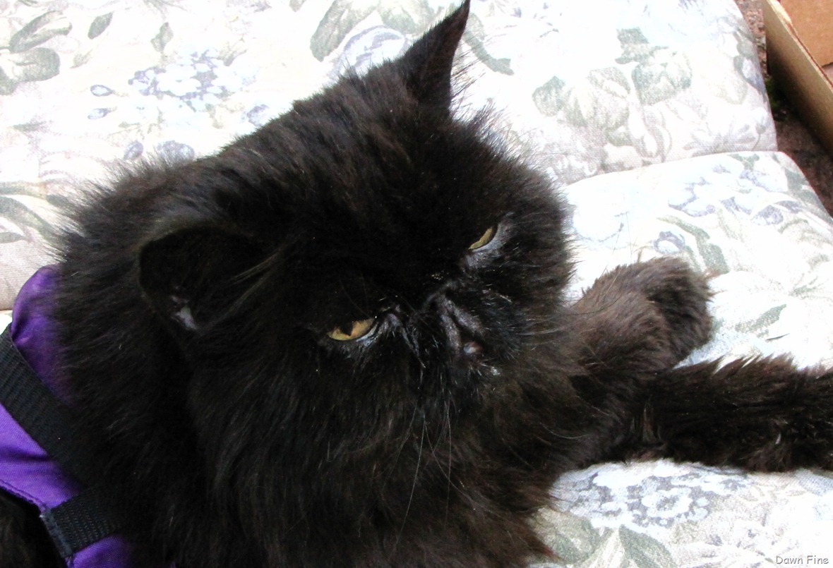 [MOM%2520AND%2520DADS_032%255B4%255D.jpg]