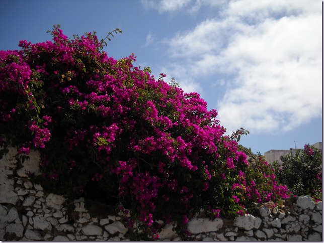 Lanzarote mare 874 Lanzarote mare 874