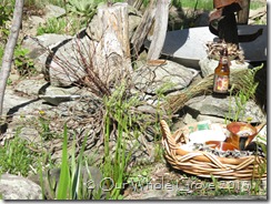 offerings