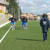 71c5603902.JPG