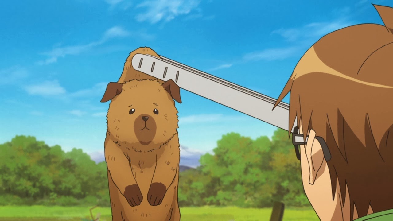 [Gin%2520no%2520Saji%2520Second%2520Season%2520-%252002%2520-%2520Large%252002%255B2%255D.jpg]