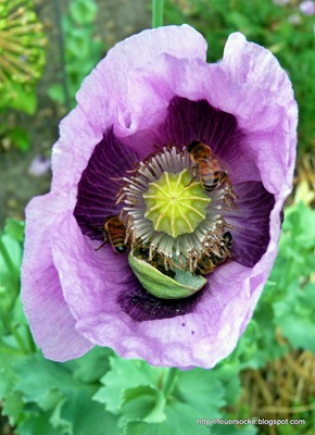 P1020784
